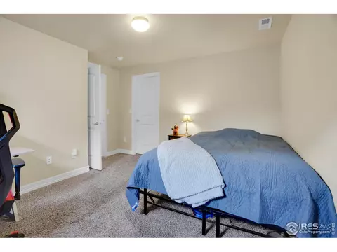 496 Gannet Peak Dr, Windsor, CO 80550 photo 28