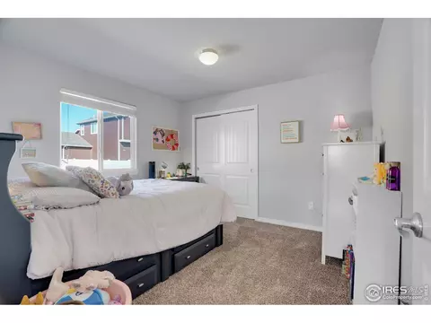 496 Gannet Peak Dr, Windsor, CO 80550 photo 19