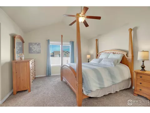 496 Gannet Peak Dr, Windsor, CO 80550 photo 13