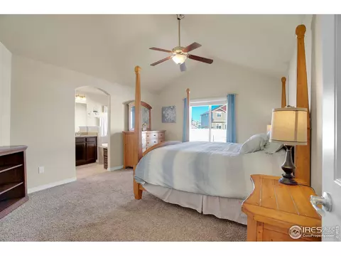 496 Gannet Peak Dr, Windsor, CO 80550 photo 14