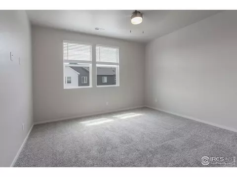 2116 Falling Leaf Dr #3, Windsor, CO 80550 photo 23