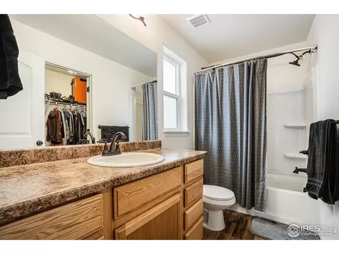 819 Saiga Dr, Severance, CO 80550 photo 22