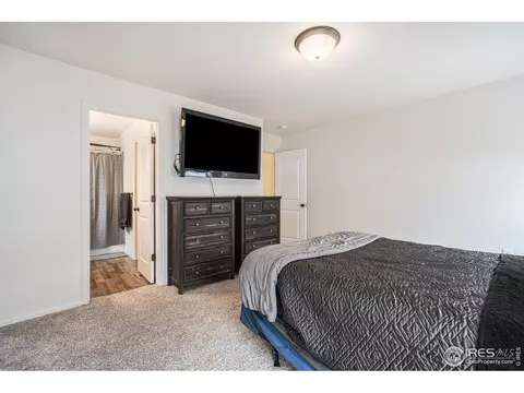 819 Saiga Dr, Severance, CO 80550 photo 20