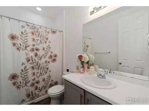 1825 Paley Dr, Windsor, CO 80550 photo 4