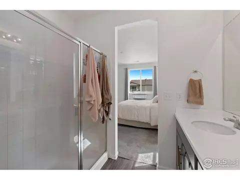 1825 Paley Dr, Windsor, CO 80550 photo 17