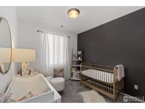 1825 Paley Dr, Windsor, CO 80550 photo 6
