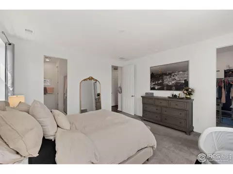 1825 Paley Dr, Windsor, CO 80550 photo 15