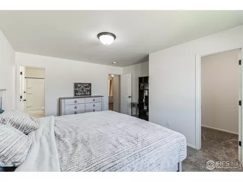 970 Mouflon Dr, Severance, CO 80550 photo 10