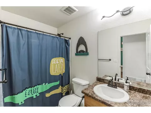 970 Mouflon Dr, Severance, CO 80550 photo 12