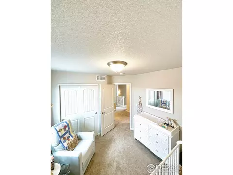 4214 Sunflower Rd, Evans, CO 80620 photo 18