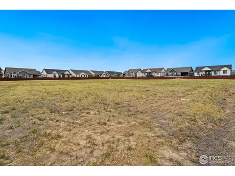 1982 Blossom Grove Ct, Windsor, CO 80550 photo 13