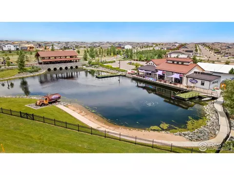 1982 Blossom Grove Ct, Windsor, CO 80550 photo 7