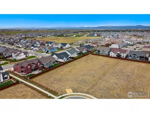 1982 Blossom Grove Ct, Windsor, CO 80550 photo 5