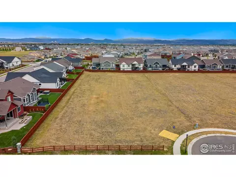 1982 Blossom Grove Ct, Windsor, CO 80550 photo 11