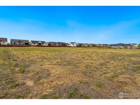 1982 Blossom Grove Ct, Windsor, CO 80550 photo 12