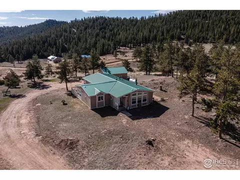 140 Deadhorse Mountain Ct, Livermore, CO 80536