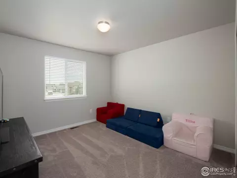 4581 Hollycomb Dr, Windsor, CO 80550 photo 27