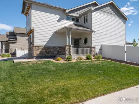 4581 Hollycomb Dr, Windsor, CO 80550 photo 6