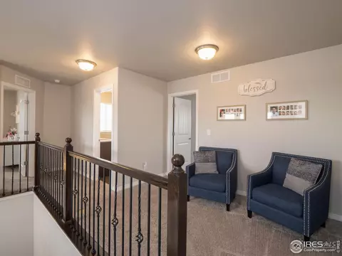 4581 Hollycomb Dr, Windsor, CO 80550 photo 23