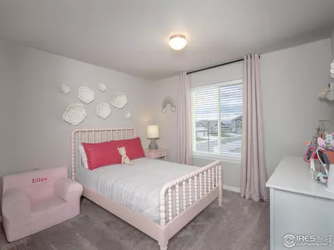 4581 Hollycomb Dr, Windsor, CO 80550 photo 24