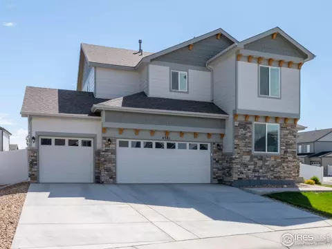 4581 Hollycomb Dr, Windsor, CO 80550 photo 4