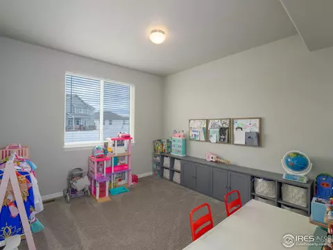 4581 Hollycomb Dr, Windsor, CO 80550 photo 18