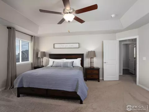 4581 Hollycomb Dr, Windsor, CO 80550 photo 20