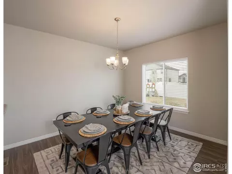 4581 Hollycomb Dr, Windsor, CO 80550 photo 16