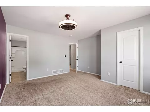 856 Sunlight Peak Dr, Windsor, CO 80550 photo 21