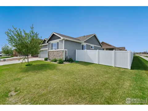 856 Sunlight Peak Dr, Windsor, CO 80550 photo 4