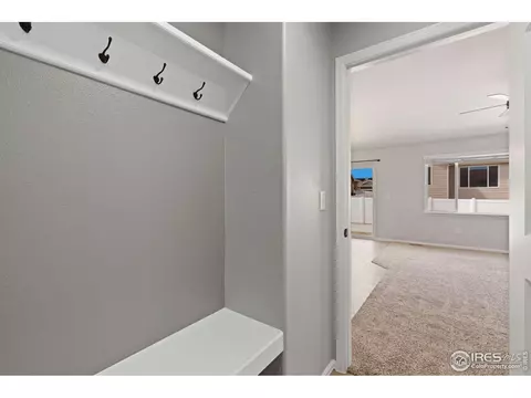 856 Sunlight Peak Dr, Windsor, CO 80550 photo 17
