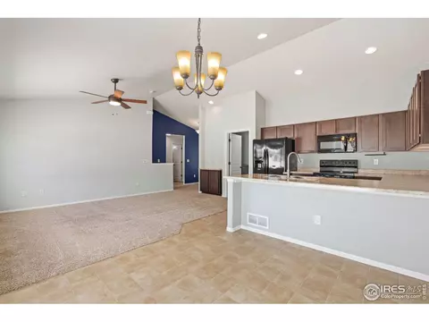 856 Sunlight Peak Dr, Windsor, CO 80550 photo 11