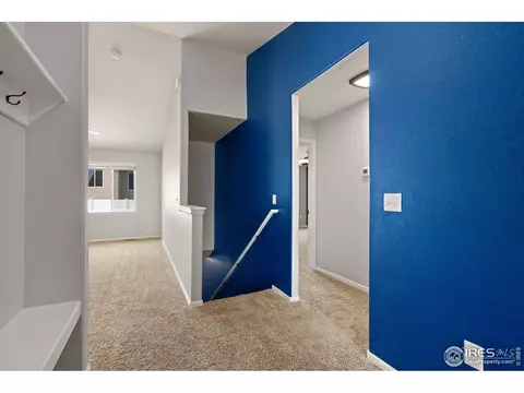856 Sunlight Peak Dr, Windsor, CO 80550 photo 30