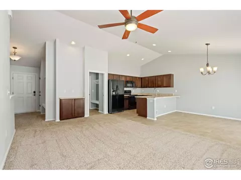 856 Sunlight Peak Dr, Windsor, CO 80550 photo 8