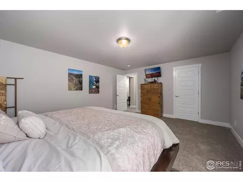 2146 Day Spring Dr, Windsor, CO 80550 photo 24