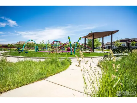 2146 Day Spring Dr, Windsor, CO 80550 photo 32