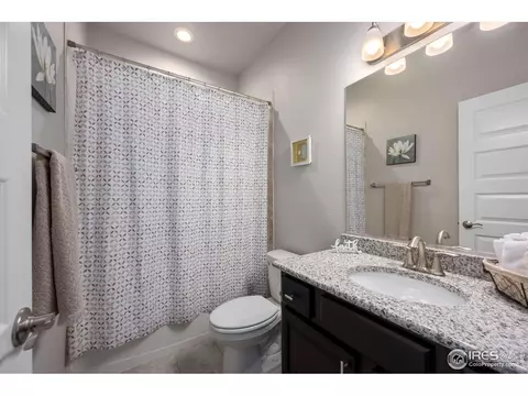2146 Day Spring Dr, Windsor, CO 80550 photo 17