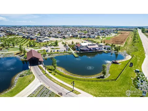 2146 Day Spring Dr, Windsor, CO 80550 photo 31
