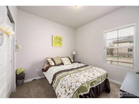 2146 Day Spring Dr, Windsor, CO 80550 photo 16