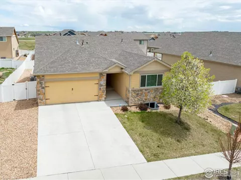 816 Mt Sneffels Ave, Windsor, CO 80550 photo 28