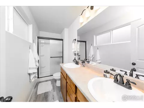 816 Mt Sneffels Ave, Windsor, CO 80550 photo 11