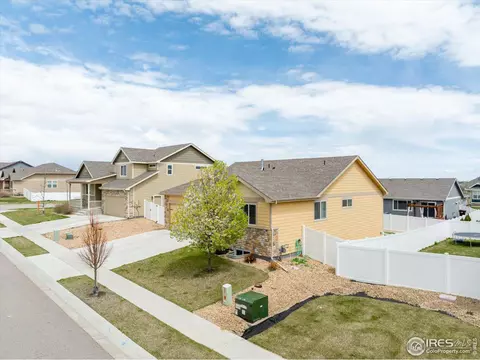 816 Mt Sneffels Ave, Windsor, CO 80550 photo 26