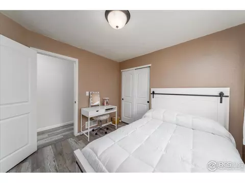 816 Mt Sneffels Ave, Windsor, CO 80550 photo 12