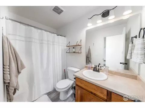 816 Mt Sneffels Ave, Windsor, CO 80550 photo 15