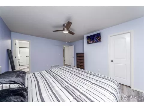 816 Mt Sneffels Ave, Windsor, CO 80550 photo 10