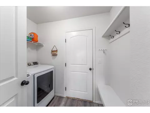 816 Mt Sneffels Ave, Windsor, CO 80550 photo 16