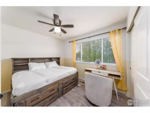 816 Mt Sneffels Ave, Windsor, CO 80550 photo 14