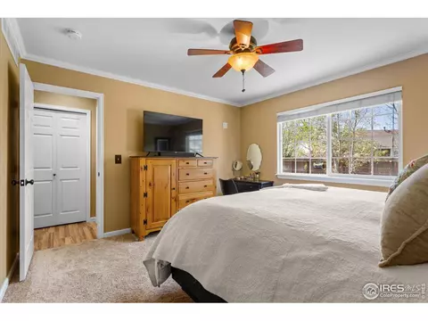 879 Emerald Dr, Windsor, CO 80550 photo 12