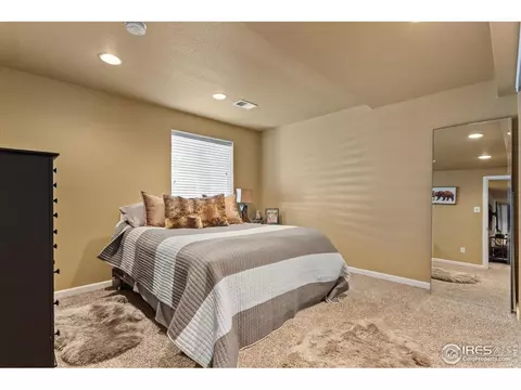 879 Emerald Dr, Windsor, CO 80550 photo 26