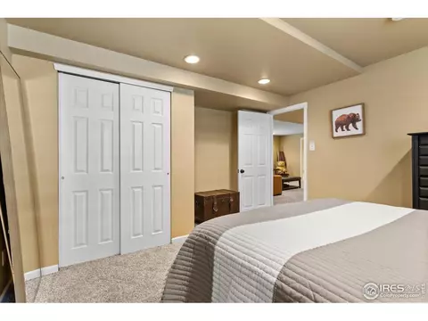 879 Emerald Dr, Windsor, CO 80550 photo 27